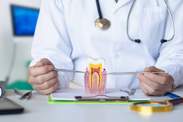 Best After-Hours Dental Trauma Care in Colfax, CA